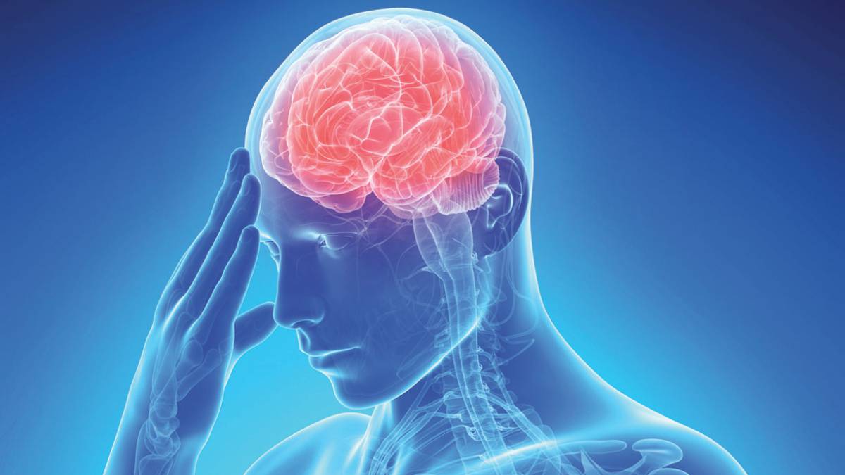 Ebook - Neurología - ENAM 2023 by QxMedic - Issuu, image size:1200x675